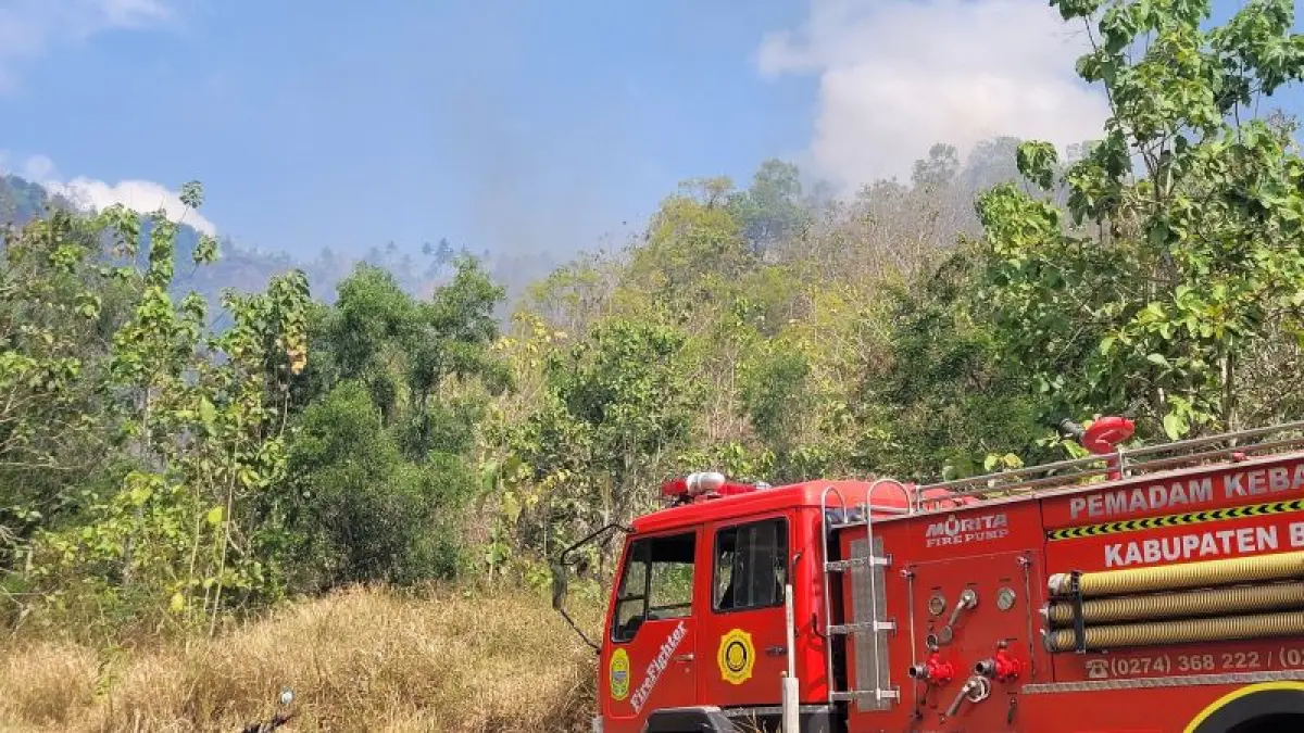 Penanganan kebakaran lahan oleh Damkarmat Kabupaten Bantul. (Istimewa)