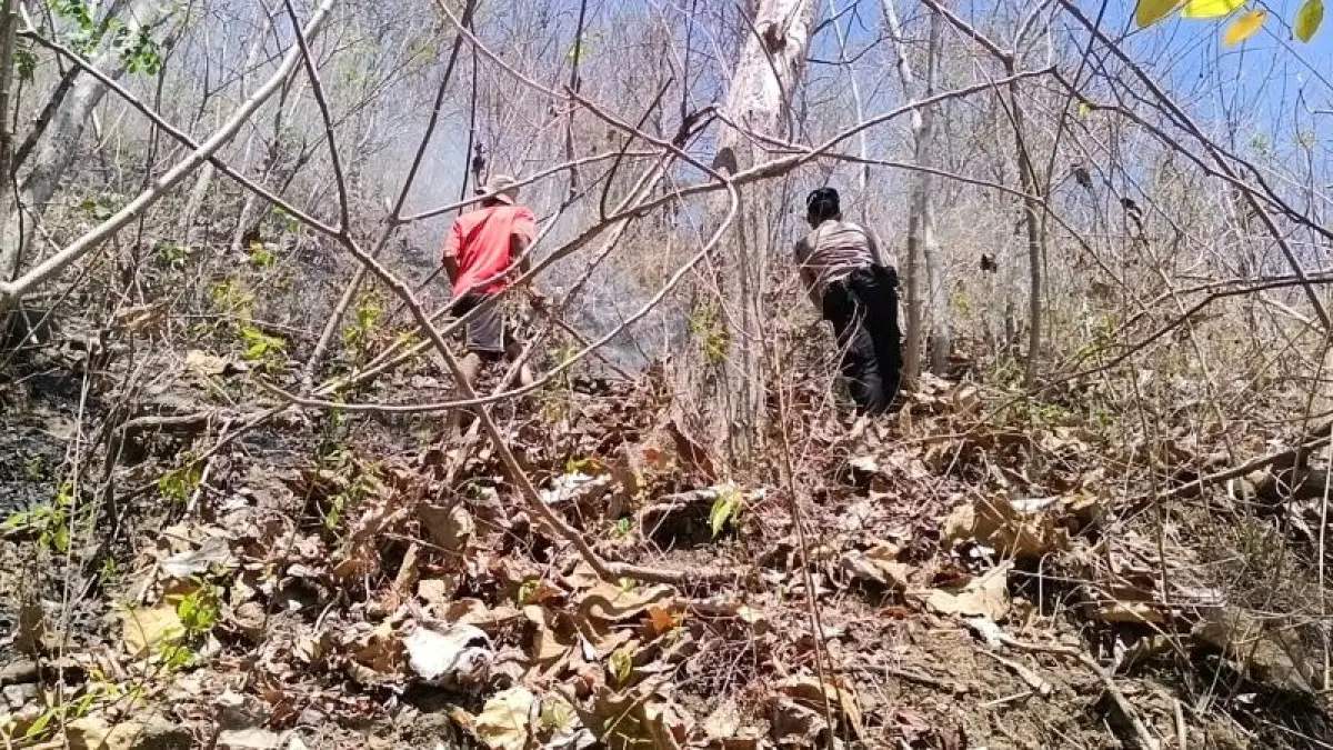 Proses pemadaman api yang membakar lahan di wilayah Imogiri. (Istimewa)