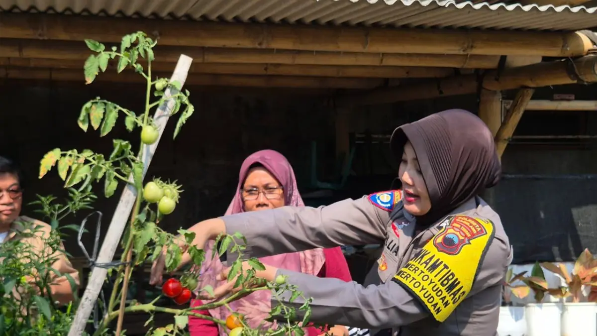 Warga dapat memilah sampah rumah tangga, lalu dapat diolah menjadi kompos melalui bank sampah.