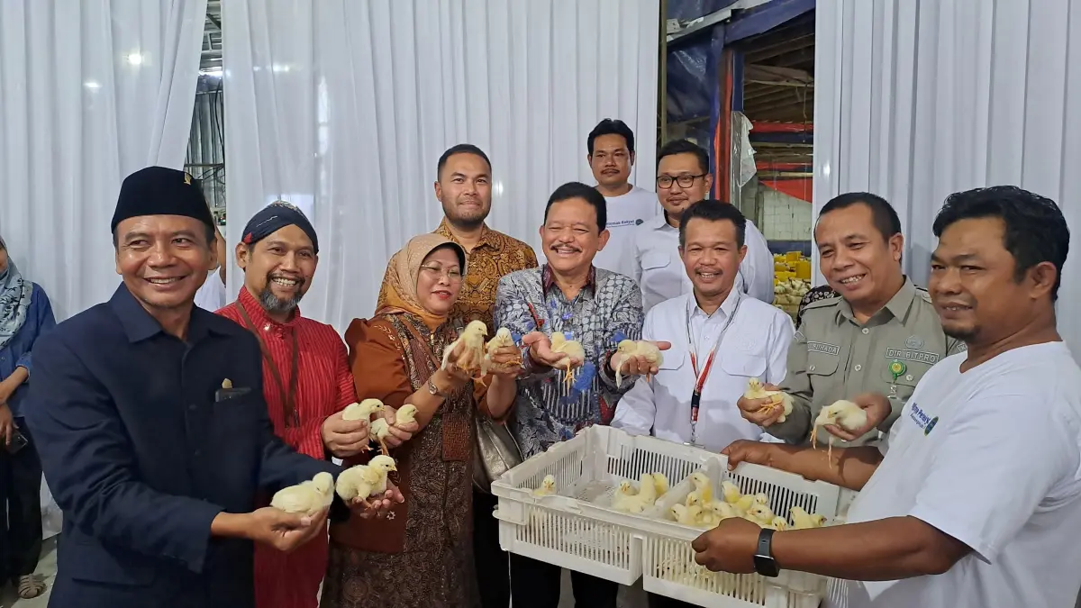 Ketua Koperasi LPER Mulyadi Atma bersama jajaran menunjukkan sampel ayam dalam kegiatan penguatan kemitraan dengan PT Japfa Comfeed Indonesia di Paliyan, Gunungkidul.