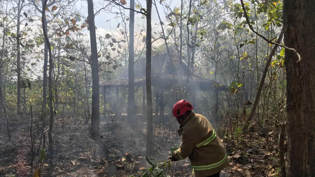 Petugas Damkarmat Gunungkidul melakukan pemadaman kebakaran lahan yang terjadi di salah satu wilayah Gunungkidul, Kamis (3/9/2026). (Dok. Damkarmat Gunungkidul)