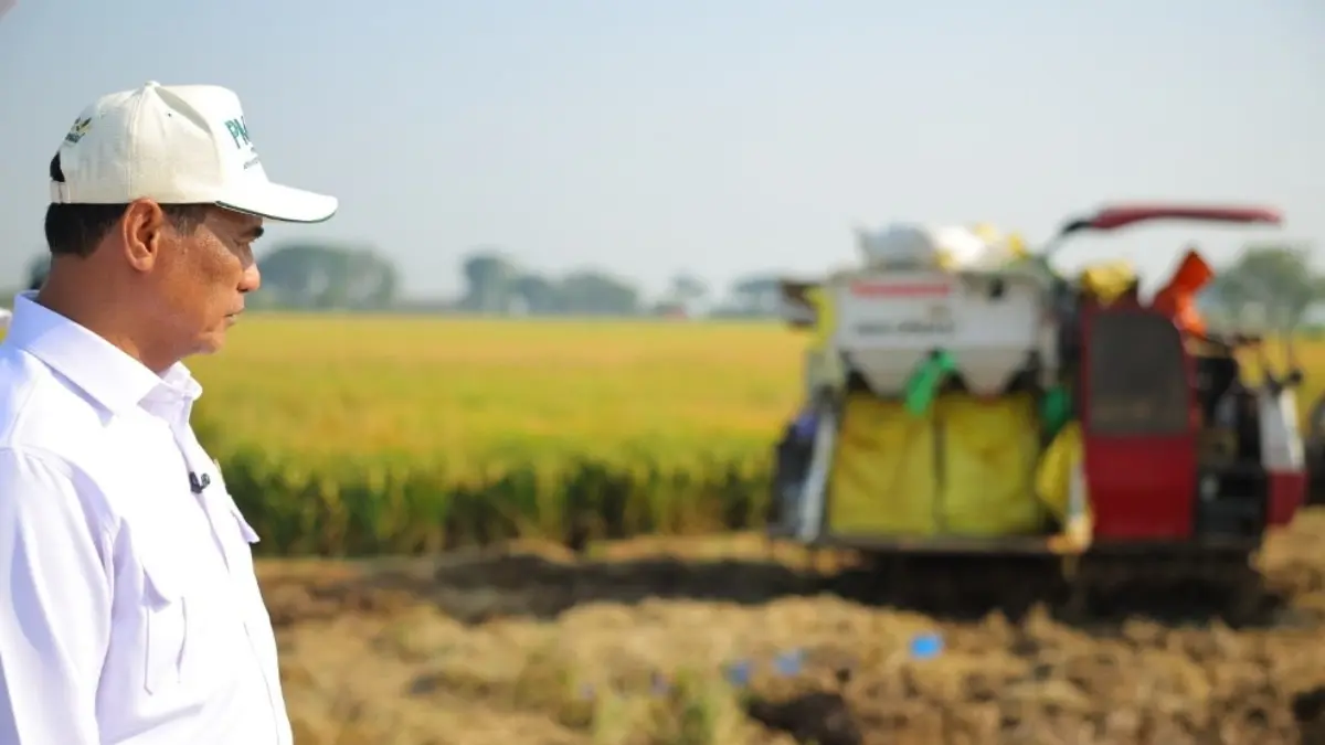 SEJAHTERAKAN PETANI: Mentan Amran Sulaiman meninjau lahan sawah yang dikelola dengan 