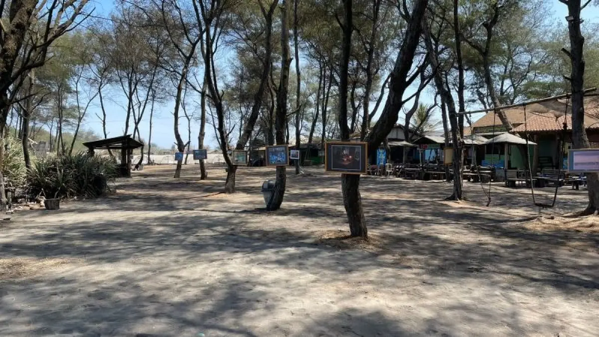 LENGANG: Pameran bertajuk “Harmoni di Tanggul Tirto” di Pantai Tanggul Tirto sepi tanpa pengunjung Jumat (4/9). (Aris Romadhon/Radar Jogja)