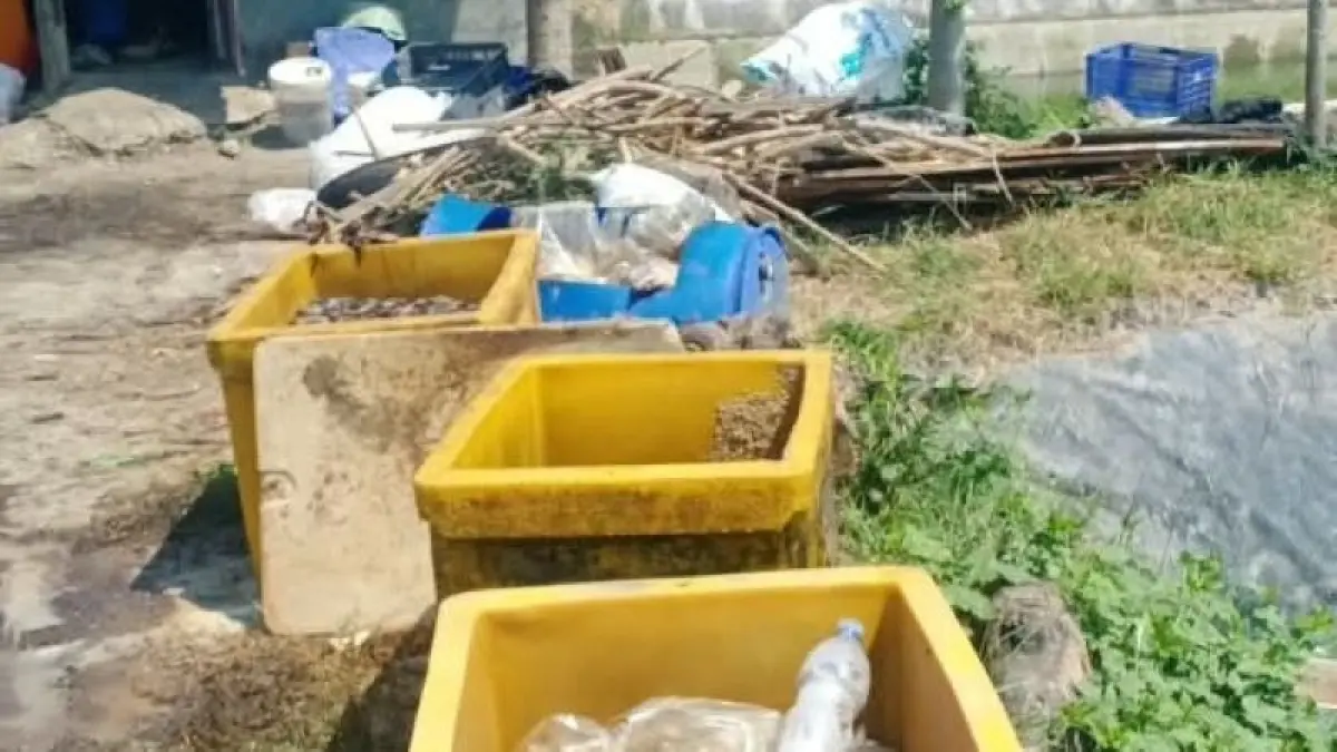 Tempat produksi olahan pakan ikan yang dikeluhkan warga Tegaltirto, Berbah, Sleman. (Dokumentasi Pribadi)
