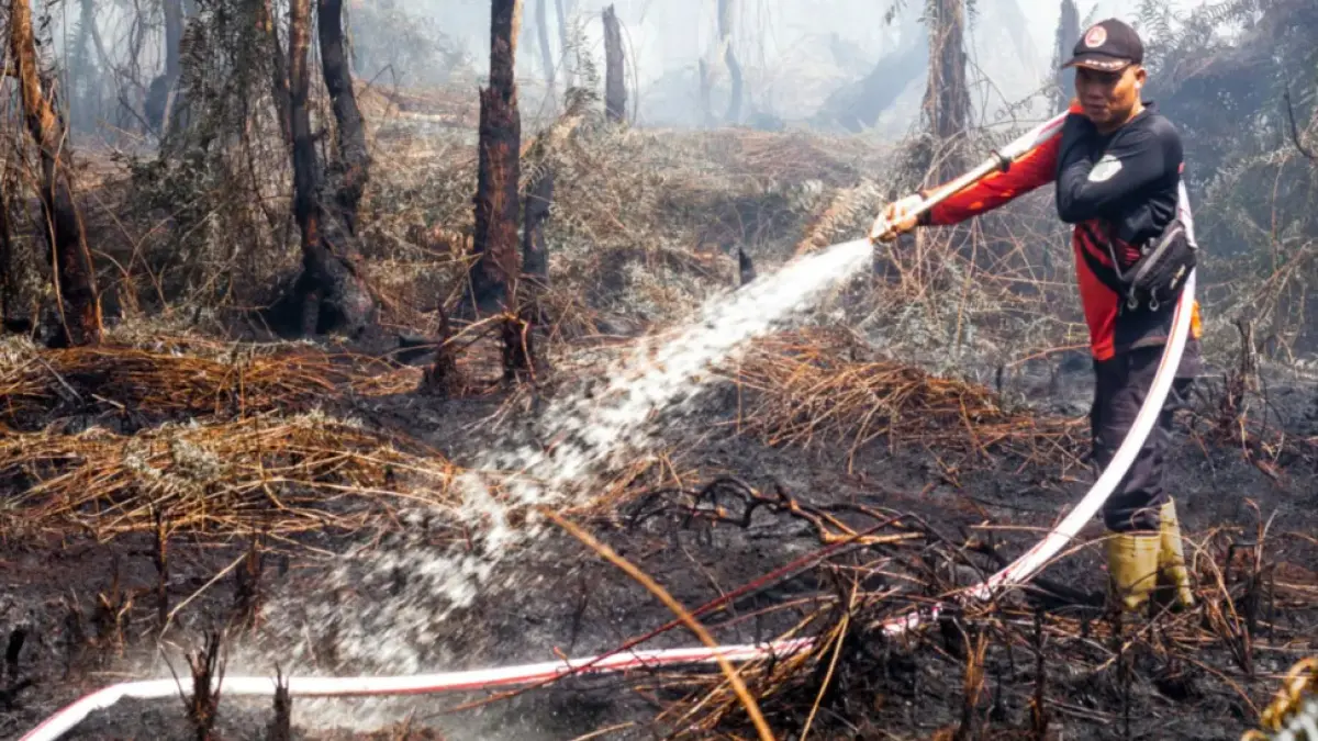Ilustrasi Petugas Berusaha Memadamkan api di Hutan Kalimantan Tengah (Dok Kalteng Pos)