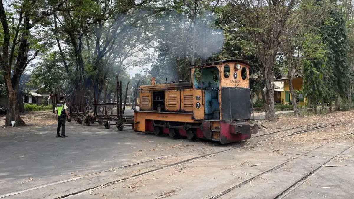 Kereta Lori yang digunakan untuk mengangkut tebu melintas menuju Pabrik Gula Madukismo. (Aris Romadhon/Radar Jogja)