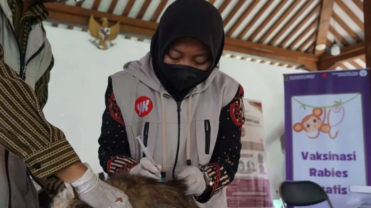 Petugas Dinas Pertanian dan Pangan Kota Yogyakarta memberikan vaksin rabies kepada hewan peliharaan warga di Kelurahan Suryodiningratan, Mantrijeron, Yogyakarta (Dok. ANTARA)
