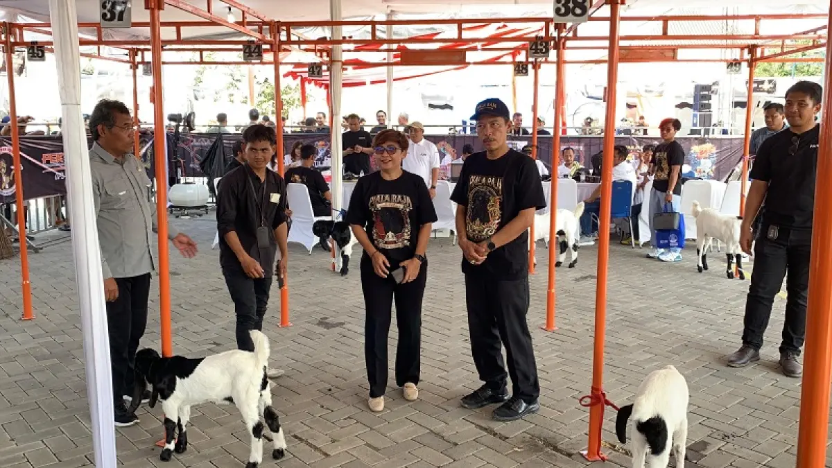 TINGKATKAN KESEJAHTERAAN PETERNAK: Ketua Komisi B DPRD&nbsp; DIY Andriana Wulandari (tiga dari kiri) dan Kepala DPKP DIY Aris Eko Nugroho (bertopi) b di tengah peserta Kontes Kambing Kaligesing di JAP Kulon Progo, kemarin (13/9).Foto kanan, jalannya kontes yang diikuti peserta dari dalam dan luar DIY.