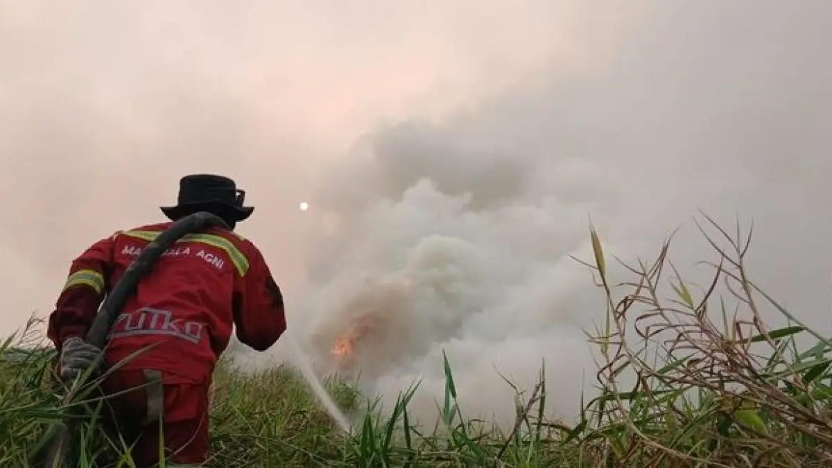 Pemadam kebakaran memadamkan api akibat kebakaran hutan. (Sumber: Kementerian Kehutanan)