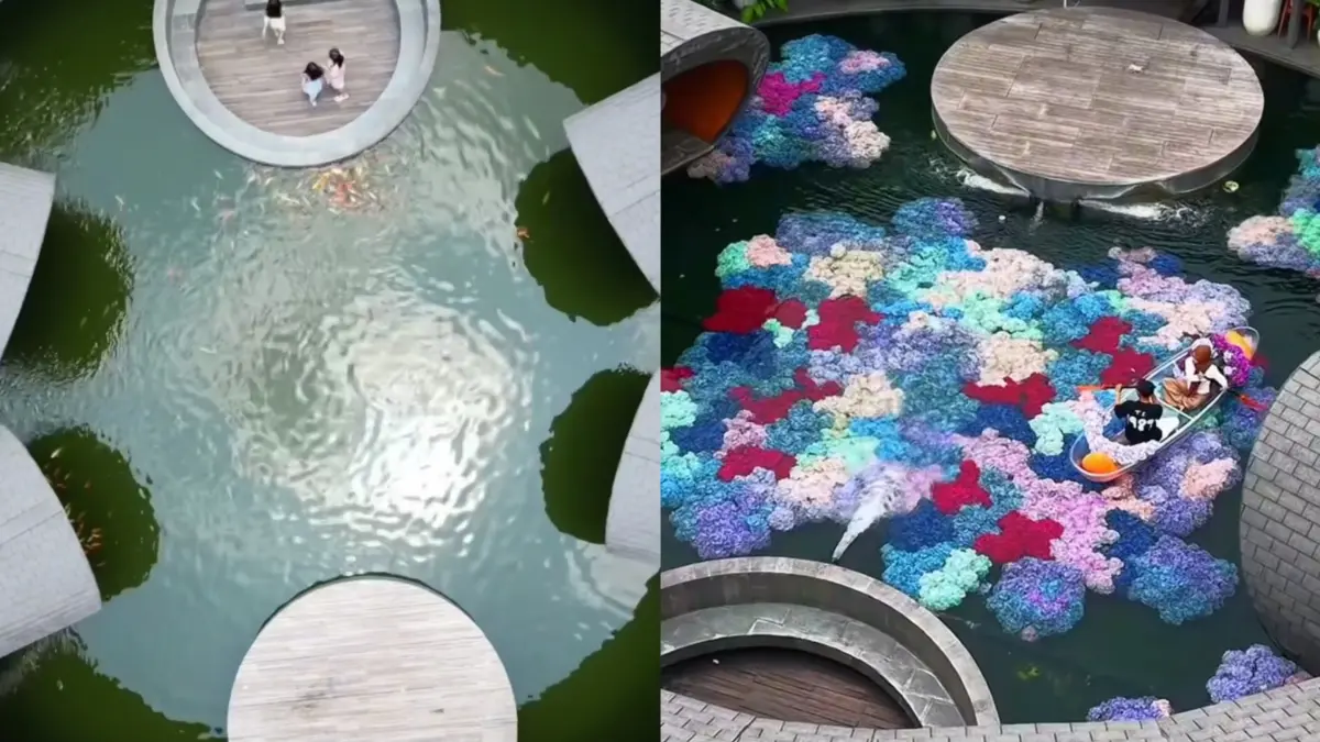 Penampakan baru Lalawuh Sunda Restaurant Bantul. Kolam yang dulu hijau polos kini berubah jadi taman bunga hortensia dengan perahu sebagai spot foto.