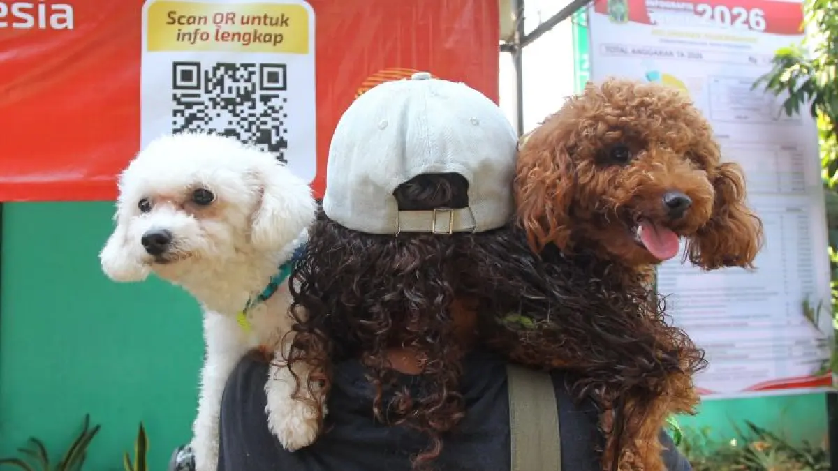 Warga membawa anjing peliharaannya untuk mengikuti vaksinasi rabies di Kantor Kelurahan Panembahan, Kemantren Kraton, Kota Jogja (1/9). Pemkot Jogja melalui Dinas Pertanian dan Pangan Kota Jogja menggelar vaksinasi rabies gratis bagi hewan peliharaan masyarakat sepanjang September 2026. (Guntur Aga Tirtana/Radar Jogja)