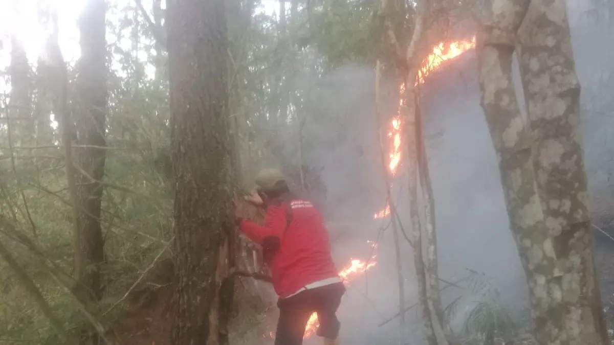 Tim gabungan berupaya memadamkan api yang melalap petak 27 di kawasan Gunung Andong, Selasa (15/9).