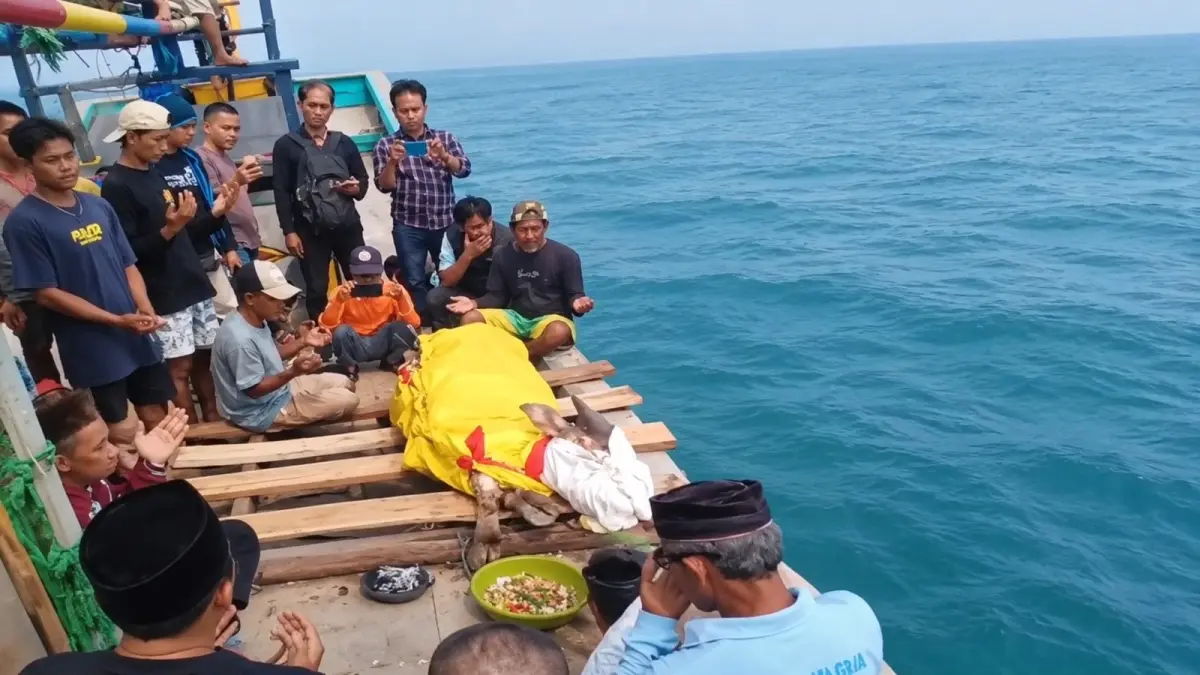Warga Gelar Larung Kerbau di Pantai Carita, Doakan 8 Orang Hilang di Gunung Anak Krakatau