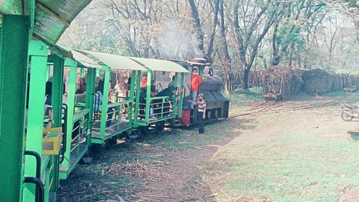 Agrowisata Pabrik Gula Madukismo. (Instagram/@alon.mlampah)