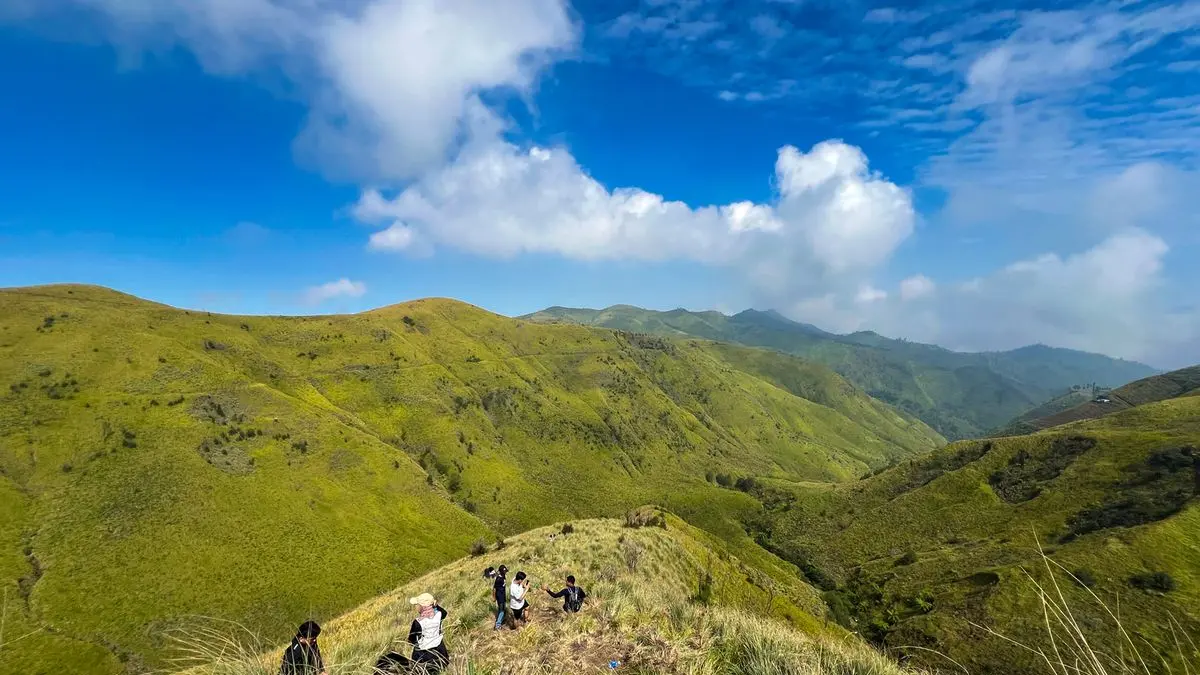 Bukit Premium, Destinasi Alam di Lereng Bromo yang Tawarkan Panorama Sabana dan Nuansa Negeri Atas Awan