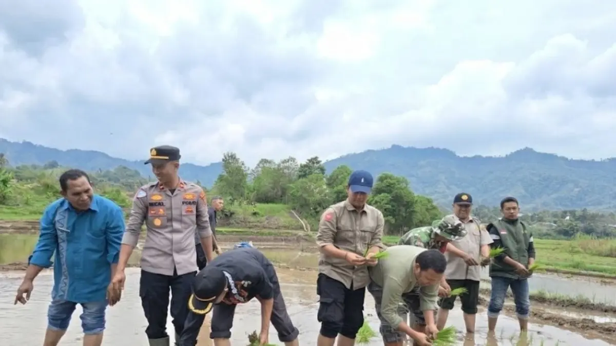BUKAN SEKADAR SEREMONI: Gerakan tanam serempak di Desa Paya Kolak, Kecamatan Celala, Kabupaten Aceh Tengah, Provinsi Aceh.