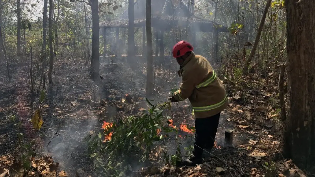 PEMADAMAN API: Petugas Damkarmat Gunungkidul memadamkan api secara manual di Patuk, Gunungkidul. (Dok. Damkarmat Gunungkidul)