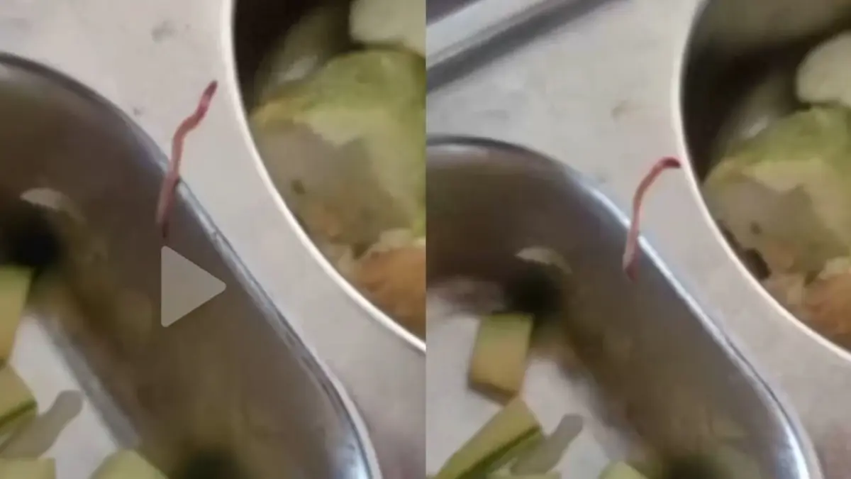 Cacing merayap dalam menu MBG yang dibagikan di MAN 1 Pati. (Tangkapan TikTok/Jawa Pos Radar Kudus)