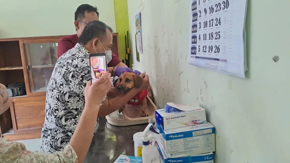Vaksin rabies gratis di Gunungkidul. (Dzika Fajar/Radar Jogja)