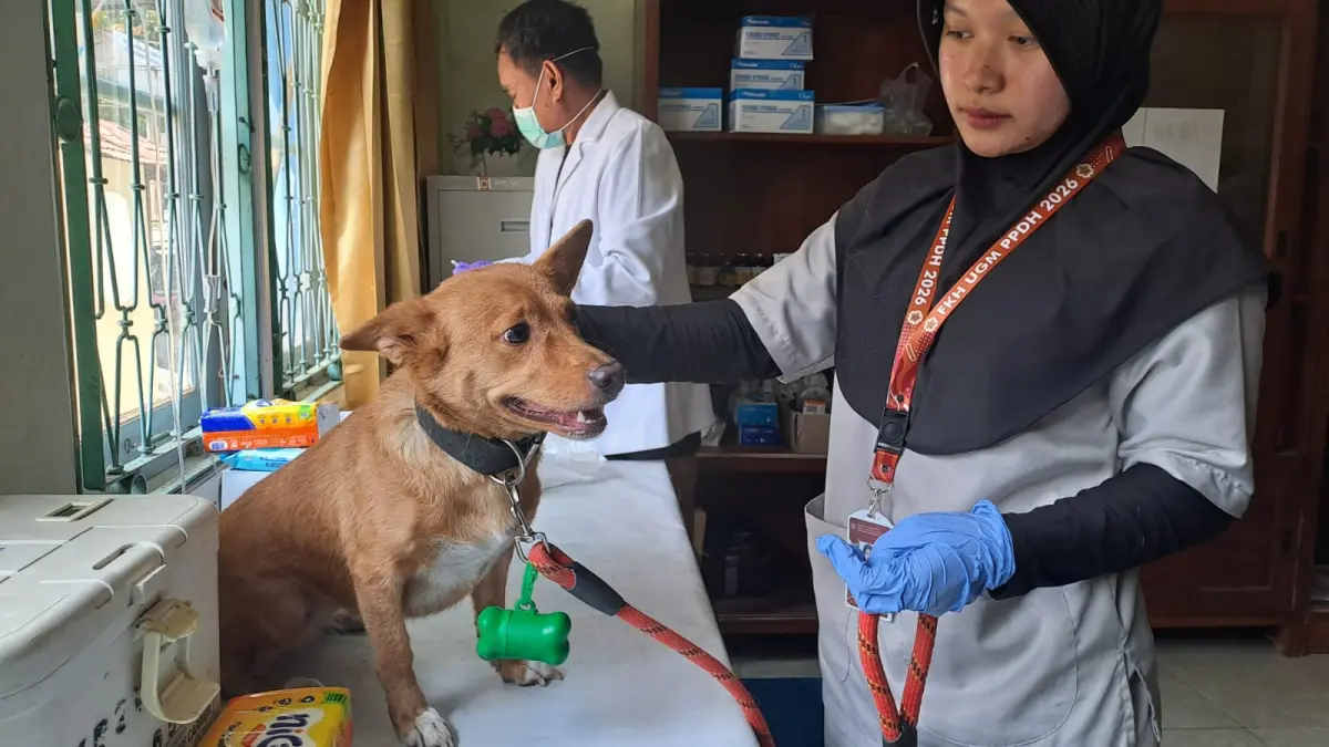 Vaksin rabies gratis di Gunungkidul. (Dzika Fajar/Radar Jogja)