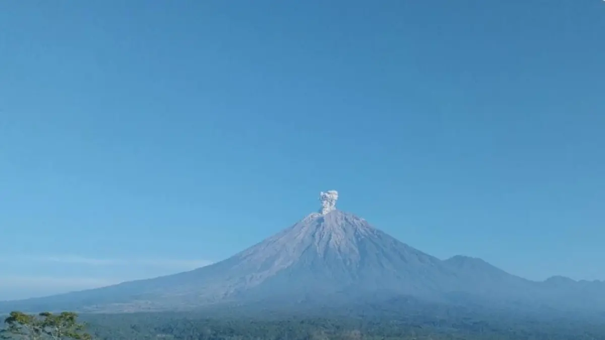 Ilustrasi erupsi Gunung Semeru, Lumajang, Jawa Timur. (Sumber: PVMBG)