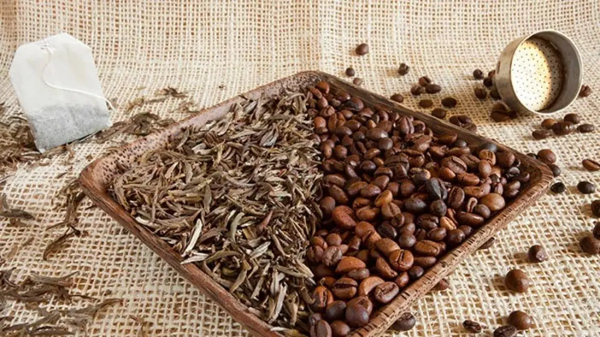 Biji kopi. (Halodoc)