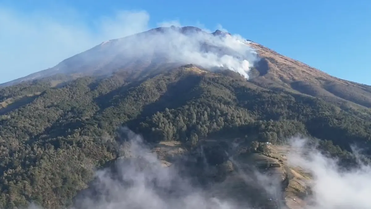 Titik Api Sudah Tak Terlihat di Lereng Gunung Sumbing Kabupaten Magelang, Penyisiran Masih Dilakukan