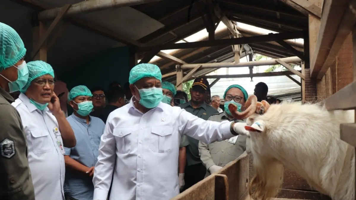 Bukan Sekadar Produksi Susu, Peternak Merapi Dibidik Jadi Pusat Regenerasi Petani Muda