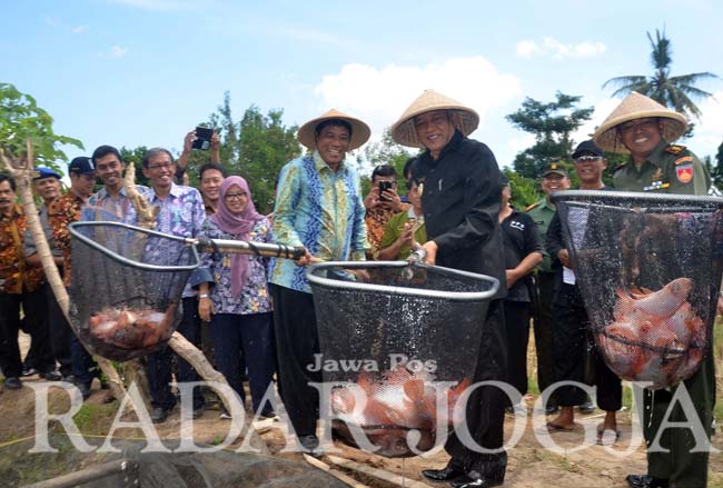 ????????????????????????????????????