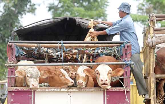 Guntur Aga Tirtana/Radar Jogja