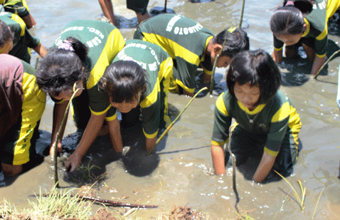 LABORATORIUM ALAM: Siswa SDN Kaliboto, Bener, Purworejo menanam mangrove di pesisir pantai selatan di Desa Gedangan, Purwodadi kemarin (29/9).