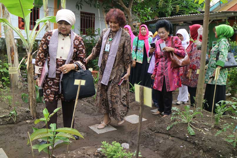 LIHAT LANGSUNG: Tim penilai melihat langsung pekarangan warga yang ditanami toga di Desa Banyuraden, Gamping, Sleman, kemarin (22/9).(foto:DWI AGUS/RADAR JOGJA)