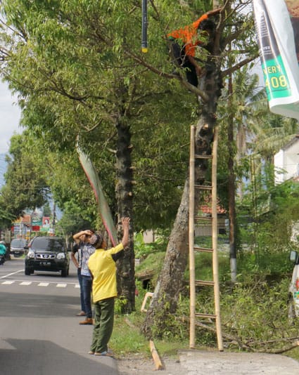 MELANGGAR: Seseorang nekat memangkas batang pohon di ruas Jalan Palagan Tentara Pelajar, Ngaglik, Sleman kemarin (30/9). Tanpa izin Pemkab Sleman tindakan itu termasuk pelanggaran. Pelaku bisa diancam sanksi denda Rp 50 juta atau kurungan selama tiga bula