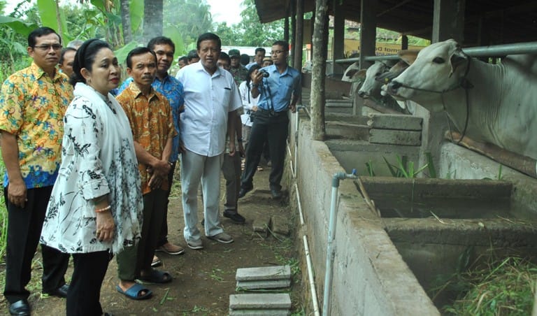 LANGSUNG: Siti Hediati Soeharto mendatangi langsung konstituennya.(Gunawan/Radar Jogja)