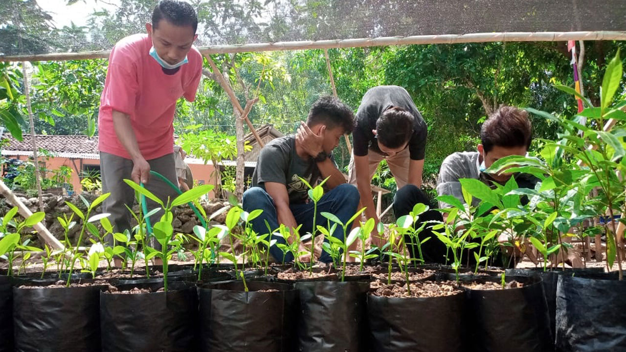 BERSEMANGAT – Lokasi kebun bibit atau Rumah Bibit Resan (RBR) Nglipar Kidul, Nglipar.(GUNAWAN/RADAR JOGJA)