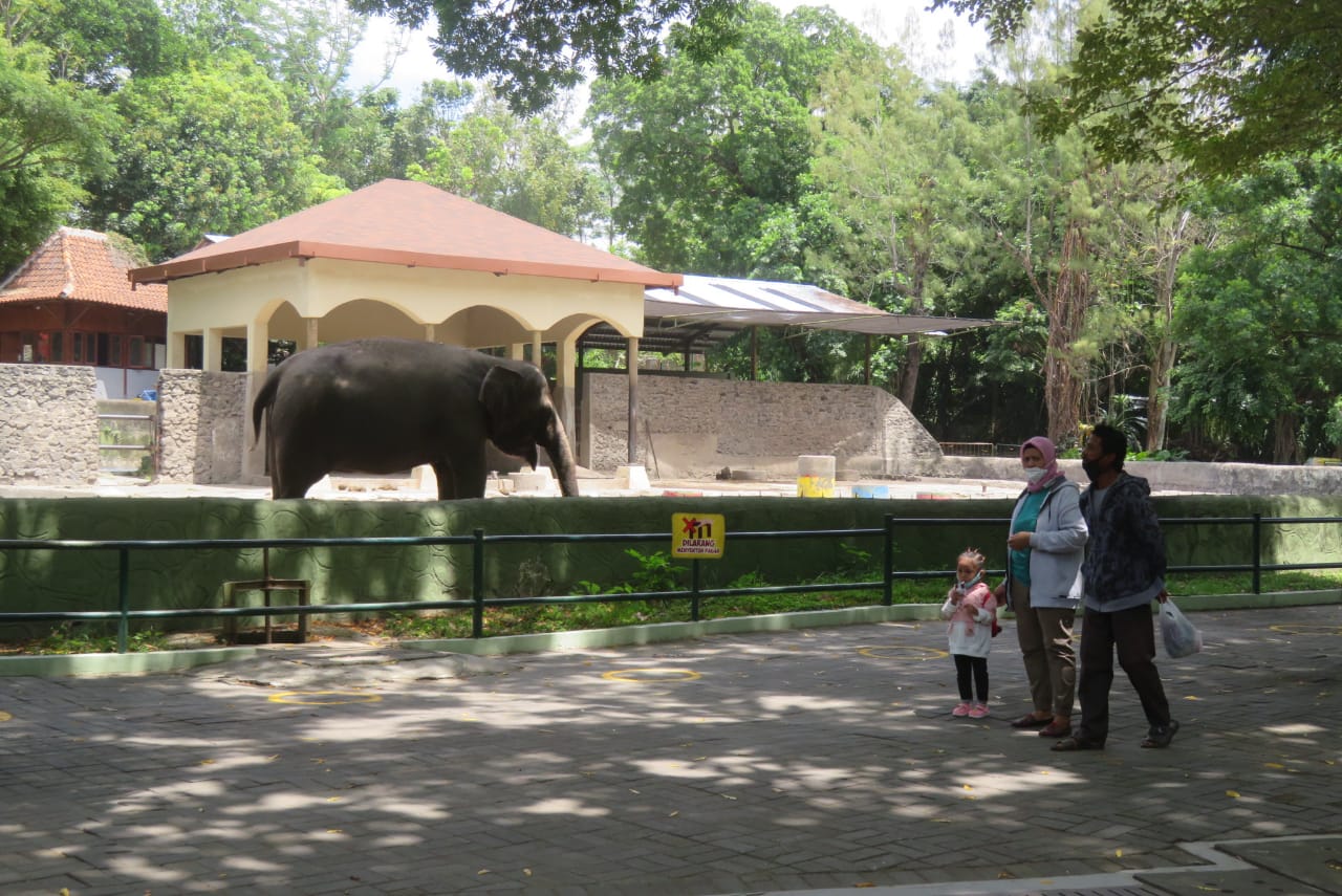 PIKNIK: GL Zoo mulai dikunjungi wisatawan keluarga dengan anak dibawah 12 tahun, Selasa (12/10). (DWI AGUS/RADAR JOGJA)