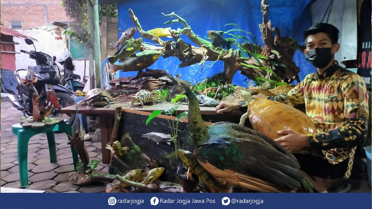 KEREN: Yudhi Kuriawan, 27, warga Pakualaman, Jogja, menunjukkan hasil kreativitas yang geluti sebagai bisnis taksidermi di rumahnya.(MEITIKA CANDRA LANTIVA/RADAR JOGJA)