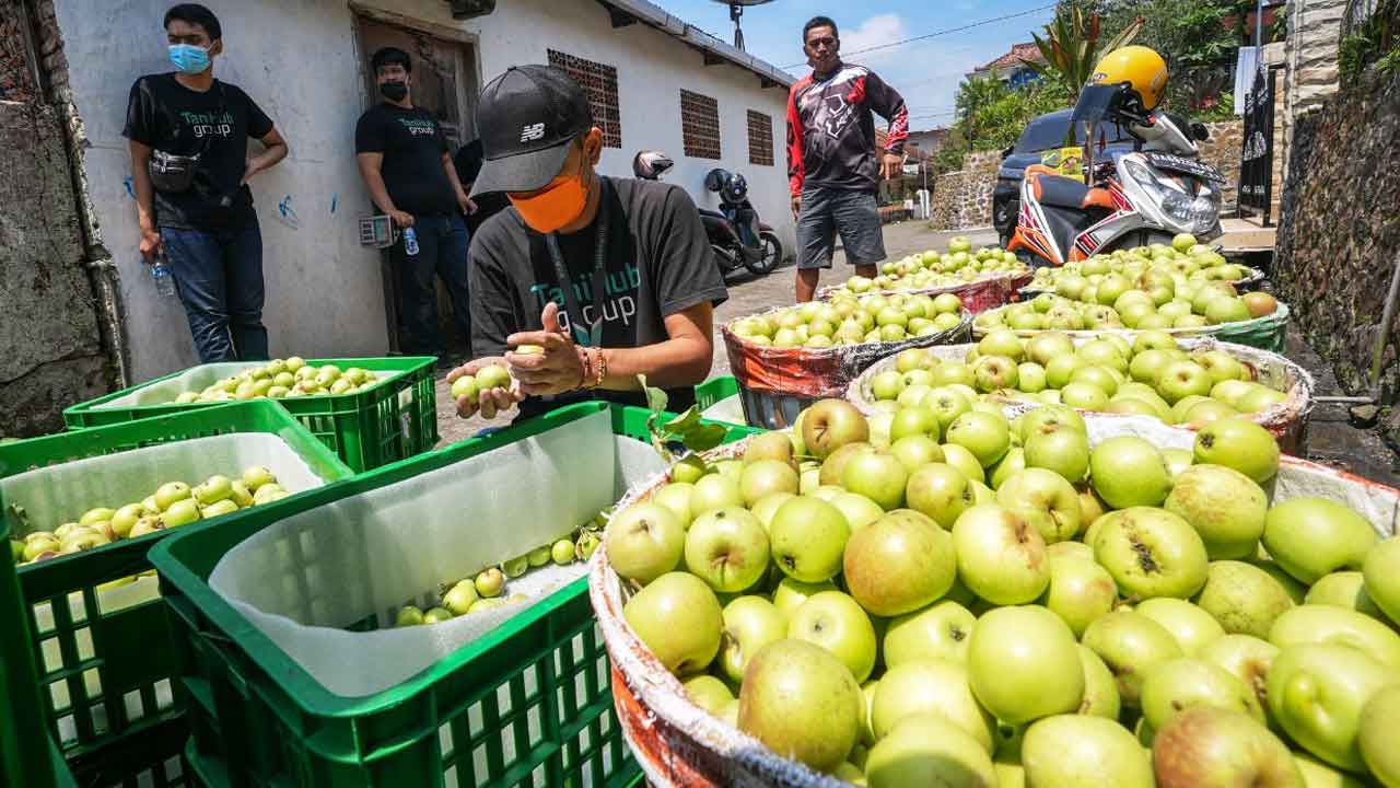 TANIVERSARY: TaniHub Group, agritech and e-grocery startup dengan pertumbuhan terbesar di Indonesia, telah memasuki tahun kelima berkarya. (TANIHUB FOR RADAR JOGJA)
