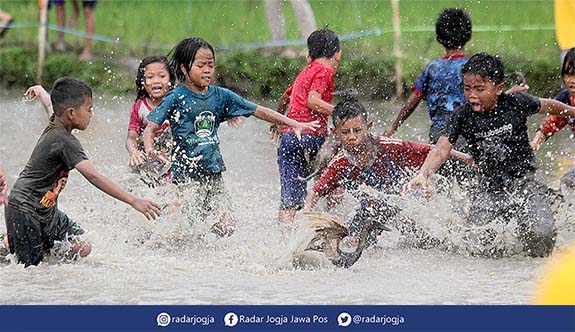 Warga melintasi sawah yang sudah menguning di Desa Jogorejo, Sendangsari, Minggir, Sleman, Sabtu (9/3). Hama tikus menjadi masalah utama di kawasan tersebut yang mengakibatkan turunya hasil panen (Foto: Elang Kharisma Dewangga)