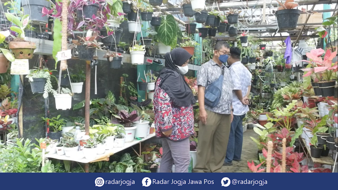 BERKAH : Aktivitas perekonomian di Pasar Satwa dan Tanaman Hias Yogyakarta (Pasty) mulai bergeliat pasca menurunnya angka kasus Covid-19 di Jogjakarta, Selasa (26/1). (ANNISA KARIN/RADAR JOGJA)