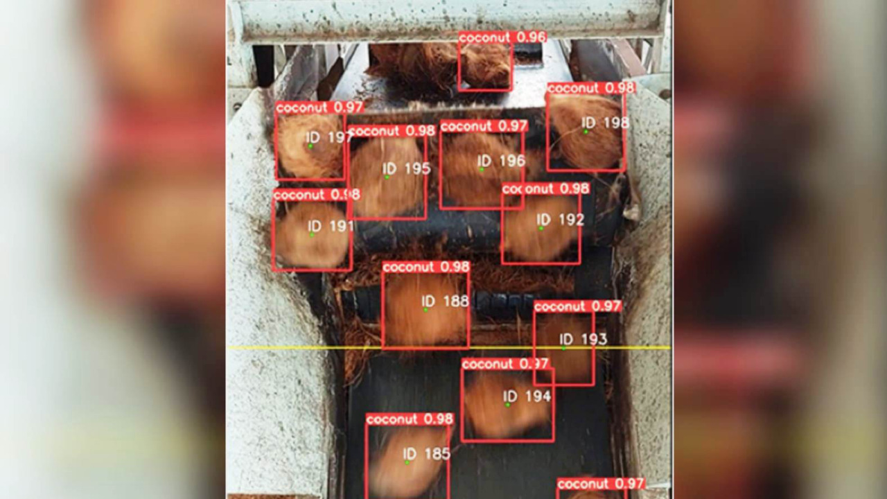 INOVASI: Teknologi yang disematkan pada Coconut Counter merupakan object detection, object tracking, object counting. (WIDYA ROBOTICS FOR RADAR JOGJA)
