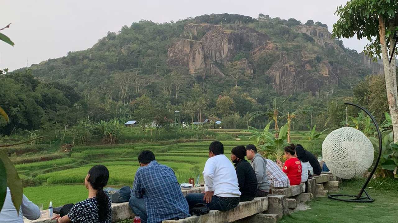 TERSEDIA: Lahan persawahan di wilayah Gunungkidul ditanami padi untuk mencukupi ketersediaan beras masyarakat.(RADAR JOGJA FILE)