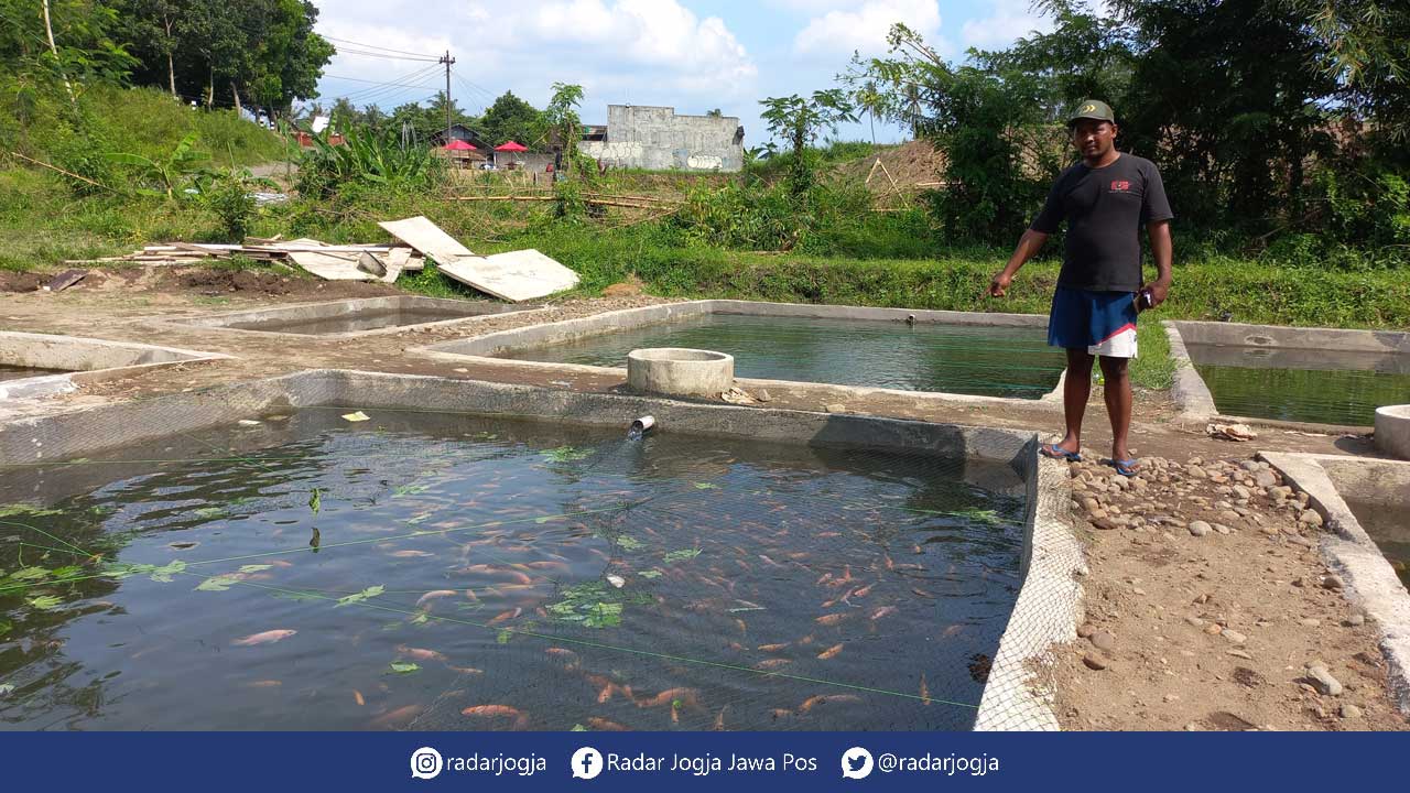 LEBIH MENGHASILKAN: Dukuh Kronggahan I, Trihanggo, Gamping Anjas Septiawan menunjukkan lahan plungguh yang diubah jadi kolam-kolam iklan, (31/1).(MEITIKA CANDRA LANTIVA/RADAR JOGJA)