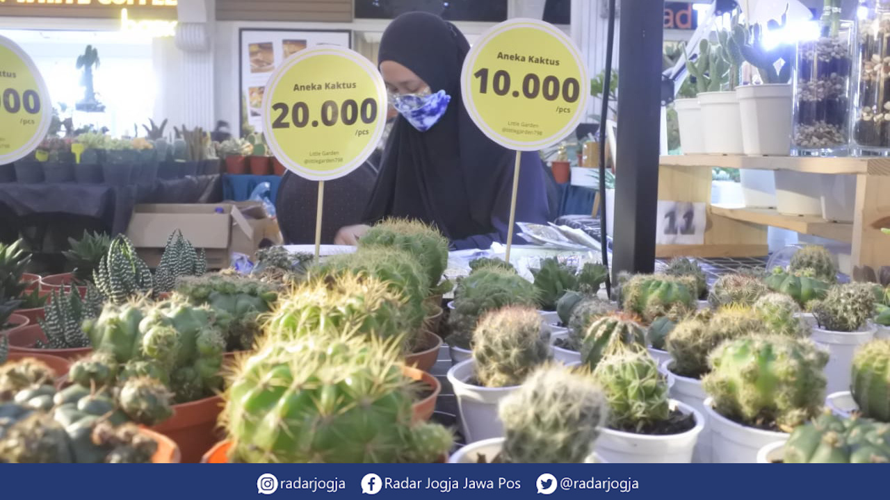 UNIK : Jenis tanaman kaktus dan sukulen masih menjadi tren tanaman 2022. (ANNISA KARIN/RADAR JOGJA)