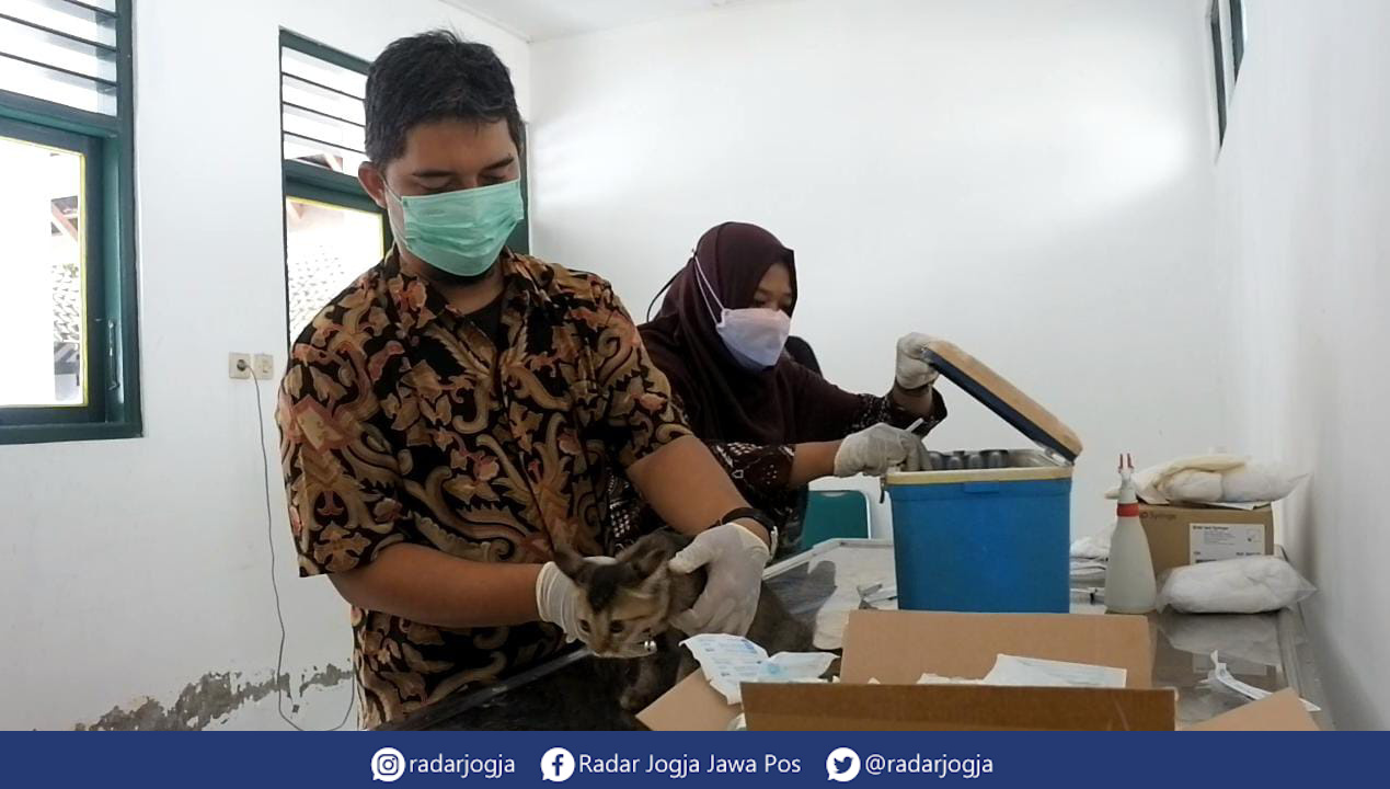 SEHAT CING : Pemkot Jogja bersama dengan komunitas Animal Friends Jogja (AFJ) menggelar kegiatan vaksinasi rabies gratis bagi kucing dan anjing. Kegiatan vaksinasi ini bertempat di Poliklinik Hewan Kota Jogja, Kamis (24/2). (ANNISA KARIN/RADAR JOGJA)