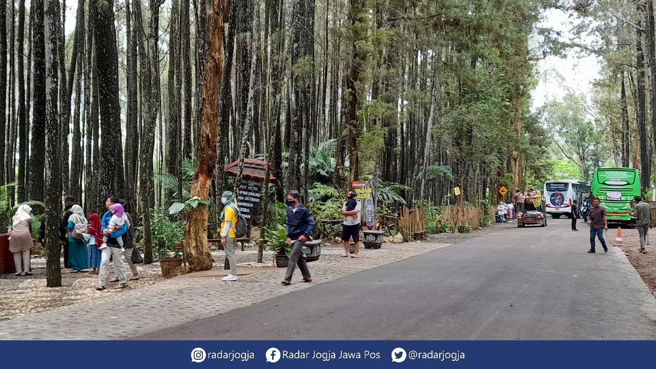 PARKIR: Bus wisata tampak melintas dan parkir di area wisata Pinus Sari, Mangunan, Dlingo.(SITI FATIMAH/RADAR JOGJA)