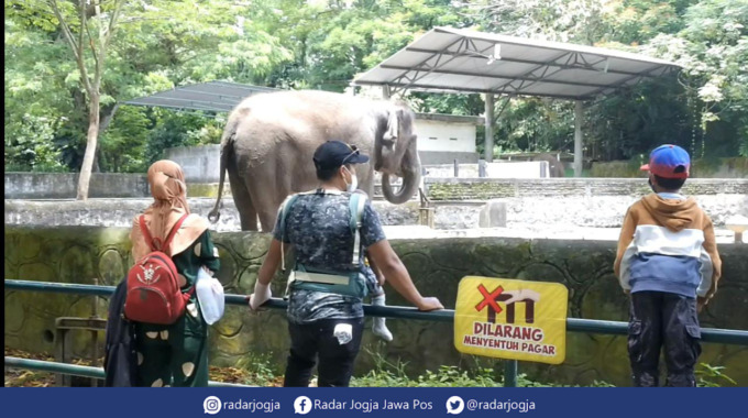 PIKNIK : Wisatawan tengah berkunjung ke wahana gajah di Kebun Binatang Gembira Loka (GL Zoo), Selasa (1/3). (ANNISA KARIN/RADAR JOGJA)