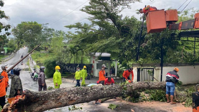 EVAKUASI: Hujan deras dan pohon tumbang di sejumlah tempat di Magelang yang mengakibatkan akses jalan terhambat.(ISTIMEWA)