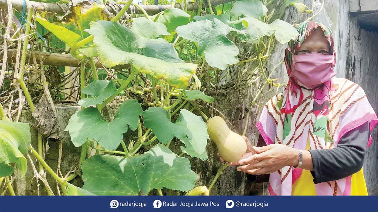 INOVATIF: Berbagai olahan dari labu hasil kreasi KWT Sukamaju, Sidomulyo, Bambanglipuro, Bantul, kemarin (24/3). SITI FATIMAH/RADAR JOGJA