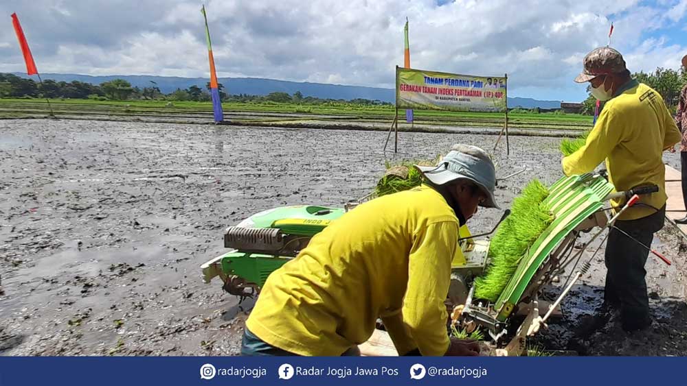 MODERN: Petani di Kabupaten Bantul saat menanam padi menggunakan mesin. Hasil tanam menjadi lebih cepat dan efisien. (RADAR JOGJA FILE)